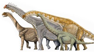 Sauropod Size Comparison for ParaceraOfficial338 and snf4567 [upl. by Richara]