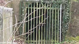 Exploring the disused Berkhamsted Gasworks Tramway 3rd February 2018 [upl. by Corry912]