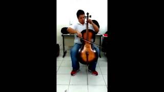 Review 10  Violoncelo Rolim Milor [upl. by Friend]