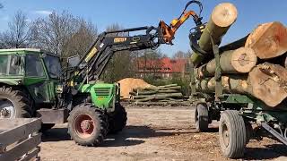 Buchenstämme laden mit Deutz 8006 und Ritter Verladezange  ökologischer Holztransport [upl. by Erual]