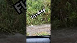 It’s Storming Again 🌧️ storm storms rain rainstorm tropicalstorm flood flooding hawaii [upl. by Tinya]