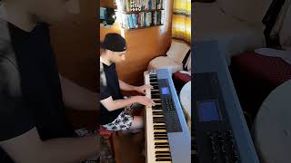 Ludovico Einaudis Andare piano ludovicoeinaudi einaudi andare music piano pianocover [upl. by Llehsad483]