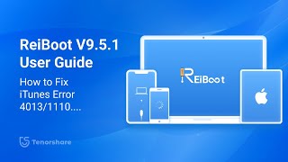 Tenorshare Reiboot iOS 18 Guide How to Fix iTunes Error 40131100 [upl. by Amor458]