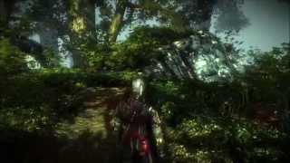 Witcher 2 High Specs Free Roam HD [upl. by Strong]