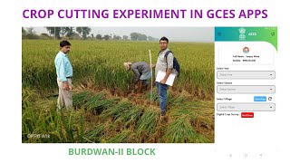 How to conduct CCE in GCES app and submission of Form 1 and form 2 II GCES cce cropcutting [upl. by Ellenaej]