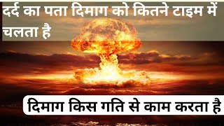 At what speed does the brain work Nuclear bomb फटने से दर्द क्यों नहीं होगा brainscience hindi [upl. by Bryn]