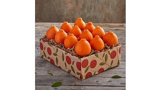 Hale Groves Honeybell Oranges 1 Tray [upl. by Ayekal]