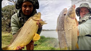 Wow carp family again going fishing at lake Boort [upl. by Zere]