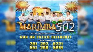 MARIMBA 502 EL MANO LARGA Nuevo 2021 COVER [upl. by Ecam]