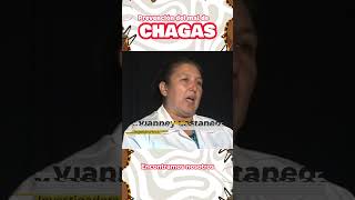 ¿Dónde vive el parásito causante del Chagas chagas corazón chinches investigacióncientíficaues [upl. by Ahtanamas]