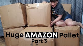 Unboxing A Huge 900 Item AMAZON Pallet  Part 3 [upl. by Elrak553]