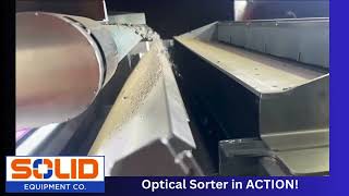 Solid Equipment Optical Sorter in ACTION [upl. by Moynahan904]