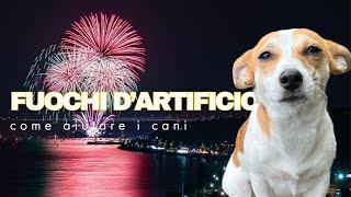 Come aiutare i cani che hanno paura dei fuochi d’artificio [upl. by Laundes]