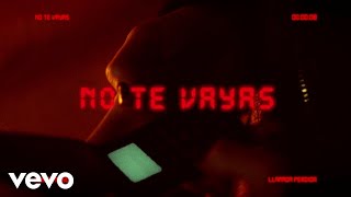 Prince Royce  No Te Vayas Official Lyric Video [upl. by Oinoitna]