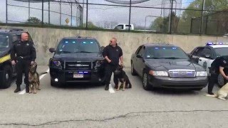 Surprise Waiting for Hingham Police K9 Axels Last Shift [upl. by Peregrine]