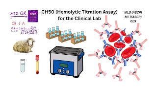 CH50 Hemolytic Titration Assay the Clinical Lab [upl. by Meean]