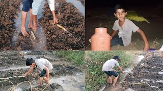 ऊस लागवन 🌾 night work daily vlog [upl. by Bonina]