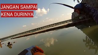 MANCING IKAN BARONANG [upl. by Kina]