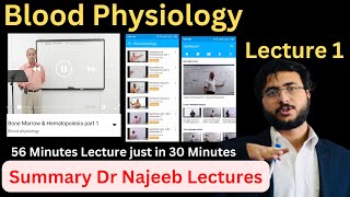 Bone Marrow and Hematopoiesis  Dr Najeeb  Lecture 1  Summary [upl. by Nahpets945]