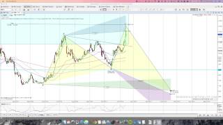 MotiveWave Harmonic Pattern Study on different timeframes [upl. by Taima908]