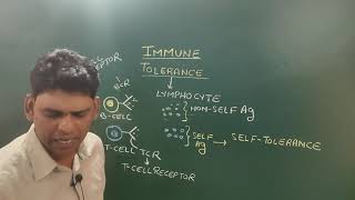 Immune Tolerance Part15 [upl. by Aizitel]