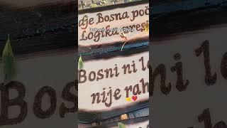 quotBosanska istina na drvetu Duhovite misli s pijacequot bosnaStyle duhovito music smijeh rahat [upl. by Melar]