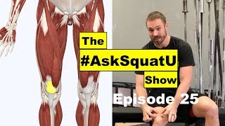 How to Fix Quad amp Patellar Tendon Pain AskSquatU Show Ep 25 [upl. by Carole]