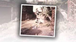 ormoc flash flood 1991avi [upl. by Eittik]