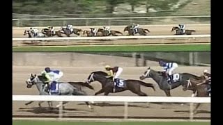 2015 Oaklawn Handicap [upl. by Demahom]