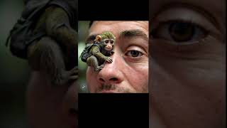 😱tiny monkey on nose  tiny animals  animals  Aitinytown11 [upl. by Cirillo]