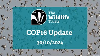 The Wildlife Trusts COP16 Update 30102024 [upl. by Melvin942]