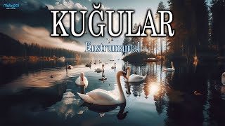 Kuğular  Enstrumantal swans [upl. by Onaicram512]