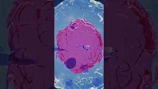 In vitro fertilization IVF animation medicalanimation ivf medstudent [upl. by Jew]