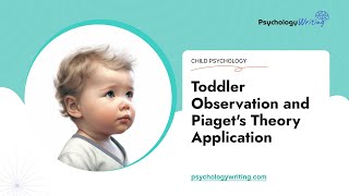 Toddler Observation and Piagets Theory Application  Essay Example [upl. by Ridley]