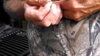 FISHING WITH A CRICKET ON A BAIT SAVER FISH HOOK baitsaverhookscom [upl. by Laundes]