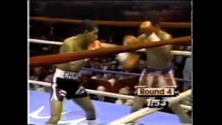 Hector Macho Camacho vs Edwin Rosario [upl. by Lemar]