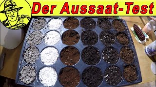 Aussaat in Kokos Perlite Kaffee und Wolle 😮 Mit Daniella und Englischunterricht [upl. by Nuhsed]