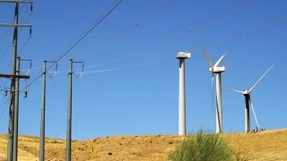 Who Cleans Up When a Wind Farm Retires [upl. by Suravart829]