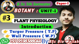 Turgor Pressure  TP  and Wall Pressure  WP  in Plant physiology [upl. by Oirasec553]