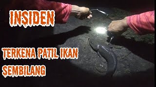 INSIDEN ‼️TERKENA DURI IKAN SEMBILANG‼️YANG DITAKUTKAN TERJADI mancing ikan mancingmania [upl. by Nwadal]