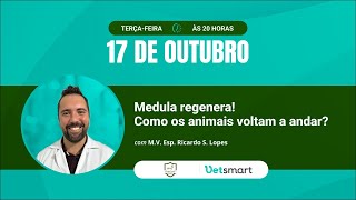 Medula regenera Como os animais voltam a andar [upl. by Endor]