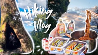 unimelb students touch grass  hiking vlog  dandenong ranges 🌻 [upl. by Raddy]