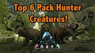 Top 6 Pack Hunting Creatures In Ark Survival Evolved [upl. by Eadahs]