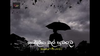 Kameliya Mal  කැමීලියා මල් සුවඳට Slowed amp Reveb song ❤ kassa music slowedreverb bootsong [upl. by Oflunra]