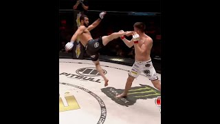 Le KO le plus fou de lhistoire du KSW   Shorts [upl. by Nerissa]