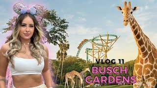 VLOG 11  BUSCH GARDENS  PASSEIO COM GIRAFAS [upl. by Namsu700]