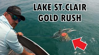 JIGGING WALLEYE AND PERCH ON LAKE STCLAIR  INSANE FISHING BITE [upl. by Lledal]