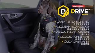 EZYDOG Drive Harness  全方位方護胸背帶 [upl. by Dinesh]