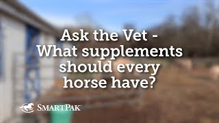 Ask the Vet  What supplements should every horse have [upl. by Heron]