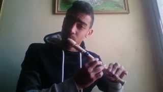 Titanic  Recorder Beatbox  Medhat Mamdouh [upl. by Aisatsana404]